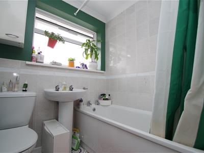 Picture 14